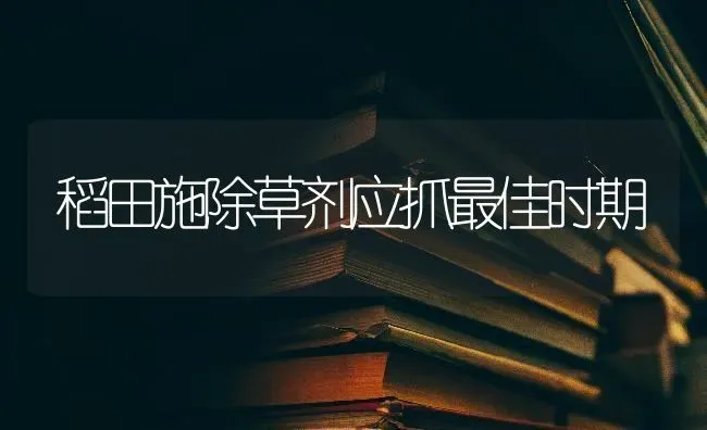 稻田施除草剂应抓最佳时期 | 养殖知识