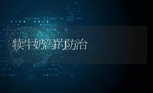 犊牛奶泻的防治 | 养殖知识