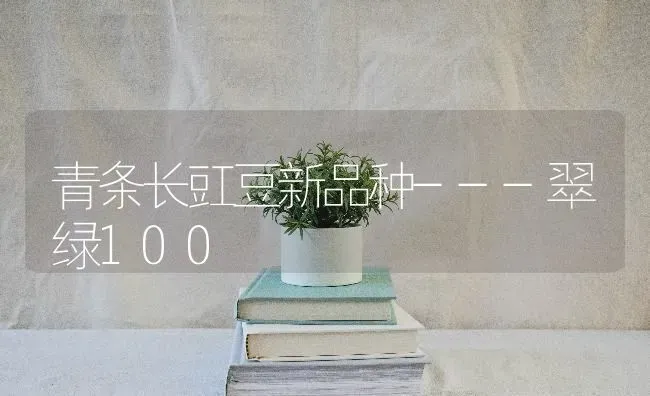 青条长豇豆新品种---翠绿100 | 养殖技术大全