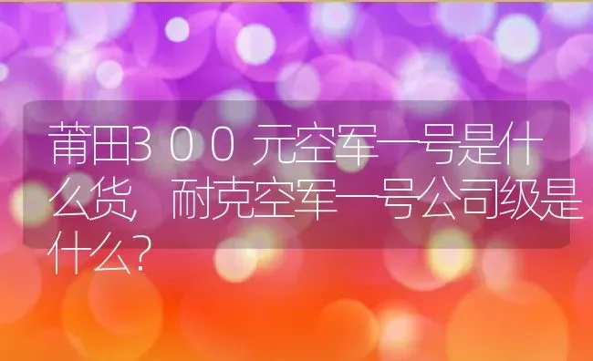 莆田300元空军一号是什么货,耐克空军一号公司级是什么？ | 养殖学堂