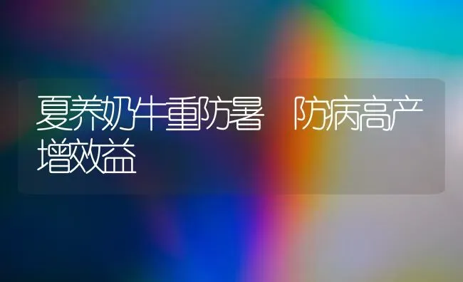 夏养奶牛重防暑 防病高产增效益 | 养殖知识