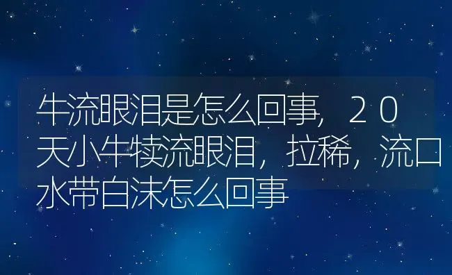 牛流眼泪是怎么回事,20天小牛犊流眼泪，拉稀，流口水带白沫怎么回事 | 养殖学堂