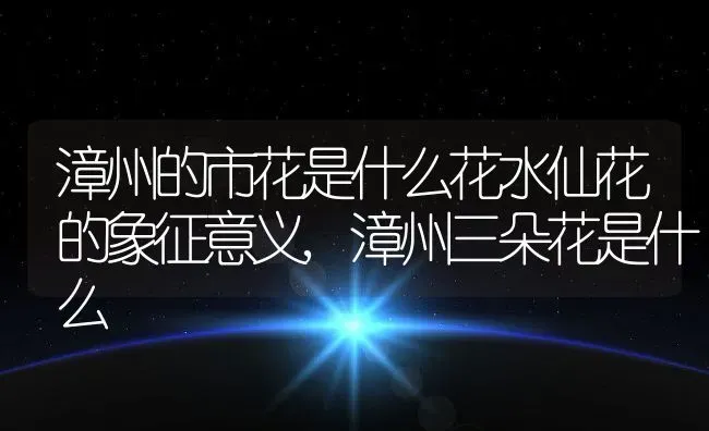 漳州的市花是什么花水仙花的象征意义,漳州三朵花是什么 | 养殖学堂