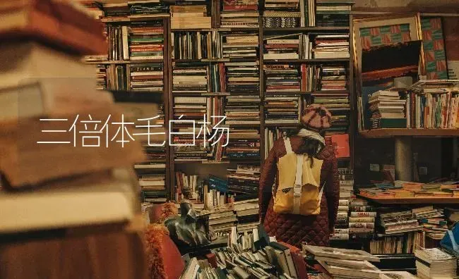 三倍体毛白杨 | 养殖技术大全