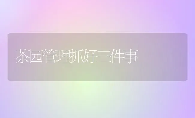 茶园管理抓好三件事 | 养殖技术大全