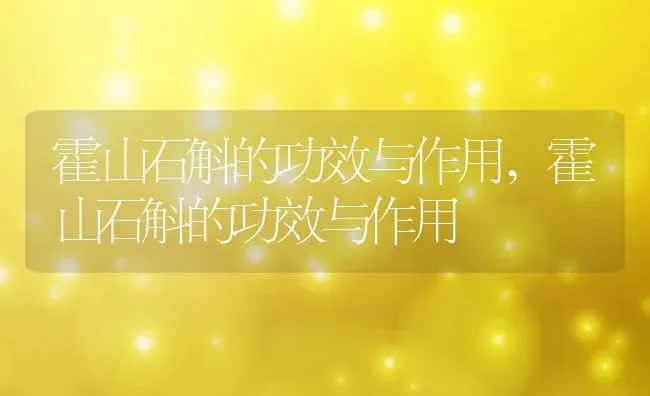 霍山石斛的功效与作用,霍山石斛的功效与作用 | 养殖科普