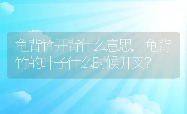 龟背竹开背什么意思,龟背竹的叶子什么时候开叉？ | 养殖科普