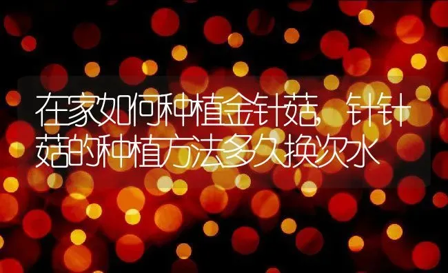 在家如何种植金针菇,针针菇的种植方法多久换次水 | 养殖学堂