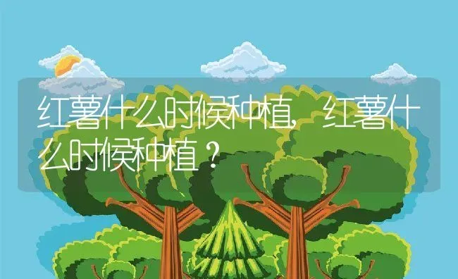 红薯什么时候种植,红薯什么时候种植？ | 养殖科普