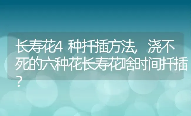 长寿花4种扦插方法,浇不死的六种花长寿花啥时间扦插？ | 养殖科普