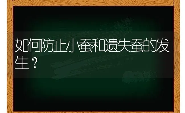 如何防止小蚕和遗失蚕的发生? | 养殖知识