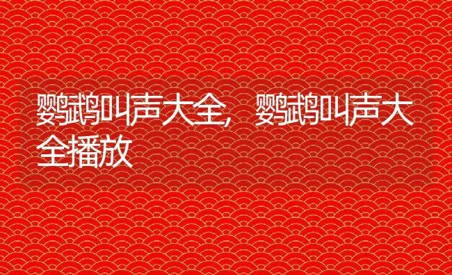 鹦鹉叫声大全,鹦鹉叫声大全播放 | 养殖学堂