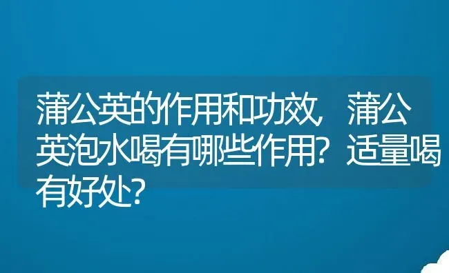 蒲公英的作用和功效,蒲公英泡水喝有哪些作用?适量喝有好处？ | 养殖科普