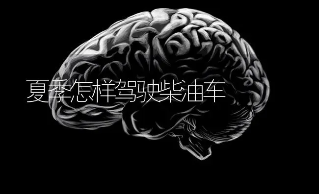 夏季怎样驾驶柴油车 | 养殖技术大全