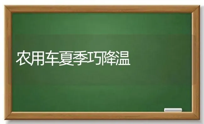 农用车夏季巧降温 | 养殖知识