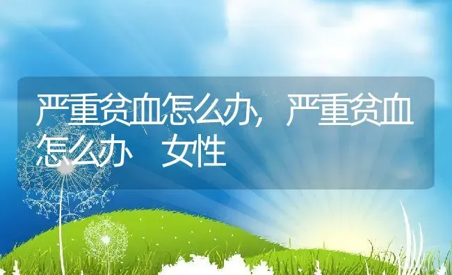 严重贫血怎么办,严重贫血怎么办 女性 | 养殖科普