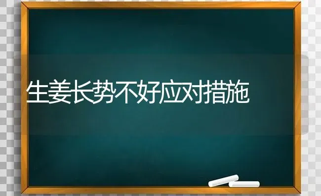 生姜长势不好应对措施 | 养殖技术大全