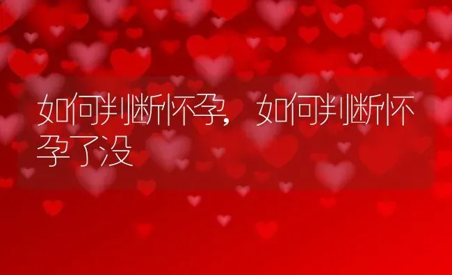 如何判断怀孕,如何判断怀孕了没 | 养殖资料
