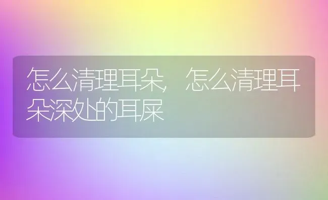 怎么清理耳朵,怎么清理耳朵深处的耳屎 | 养殖资料