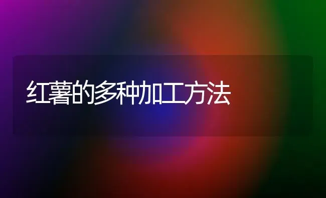 红薯的多种加工方法 | 养殖技术大全