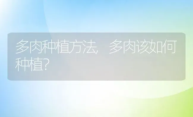 多肉种植方法,多肉该如何种植？ | 养殖科普