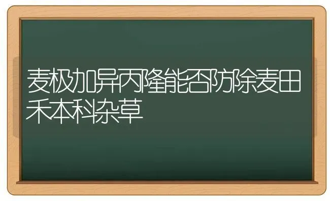 麦极加异丙隆能否防除麦田禾本科杂草 | 养殖技术大全