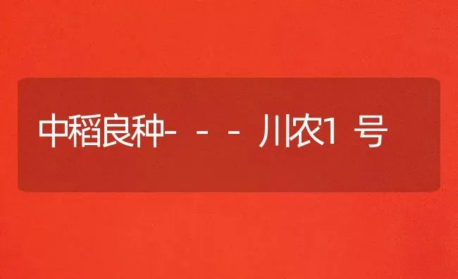 中稻良种---川农1号 | 养殖技术大全