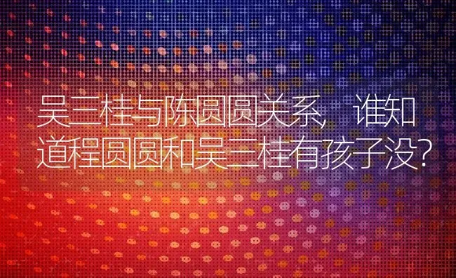 吴三桂与陈圆圆关系,谁知道程圆圆和吴三桂有孩子没？ | 养殖科普
