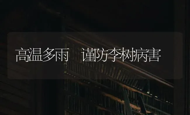 高温多雨 谨防李树病害 | 养殖技术大全