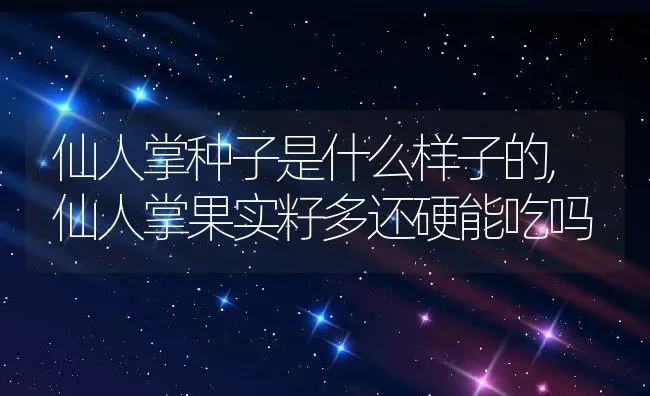 仙人掌种子是什么样子的,仙人掌果实籽多还硬能吃吗 | 养殖学堂