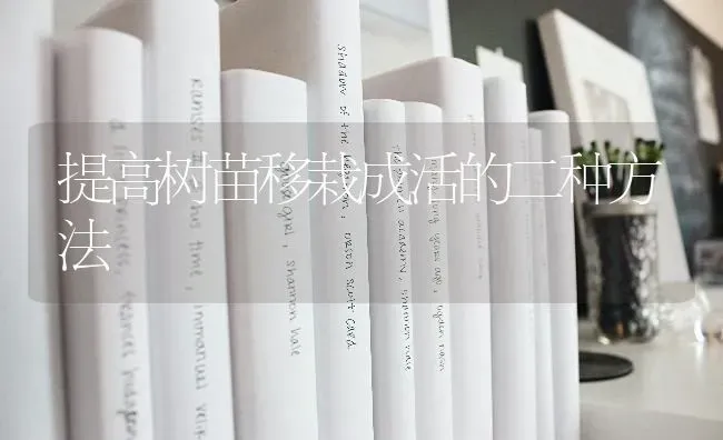 提高树苗移栽成活的二种方法 | 养殖技术大全