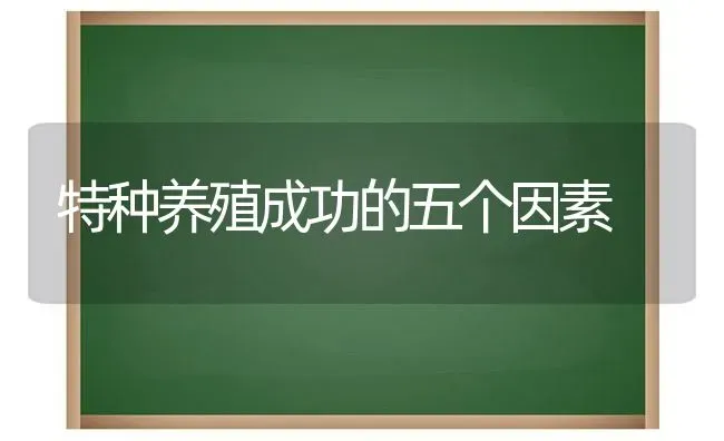 特种养殖成功的五个因素 | 养殖技术大全