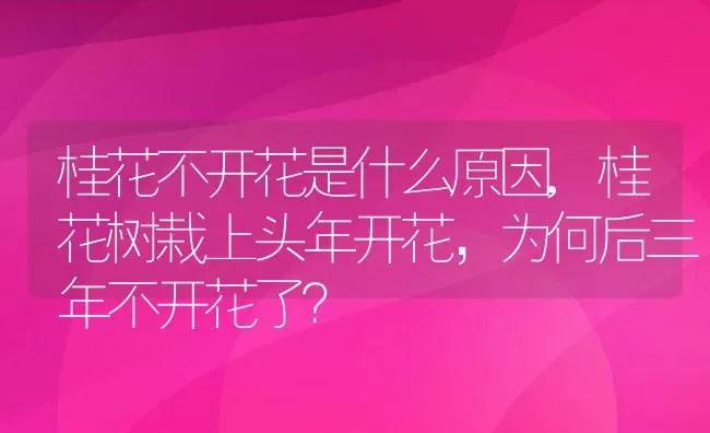 桂花不开花是什么原因,桂花树栽上头年开花，为何后三年不开花了？ | 养殖科普