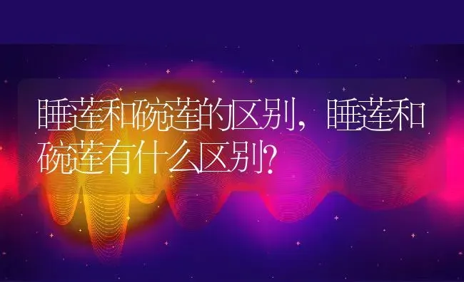 睡莲和碗莲的区别,睡莲和碗莲有什么区别？ | 养殖科普