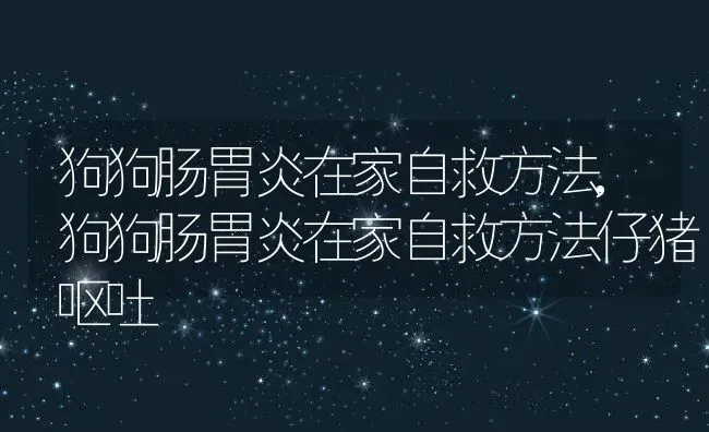 狗狗肠胃炎在家自救方法,狗狗肠胃炎在家自救方法仔猪呕吐 | 养殖资料