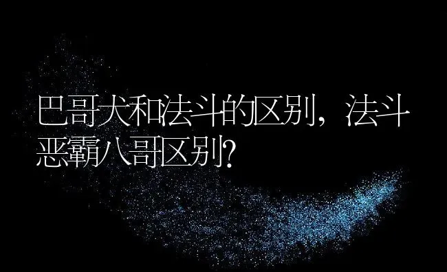 巴哥犬和法斗的区别,法斗恶霸八哥区别？ | 养殖学堂