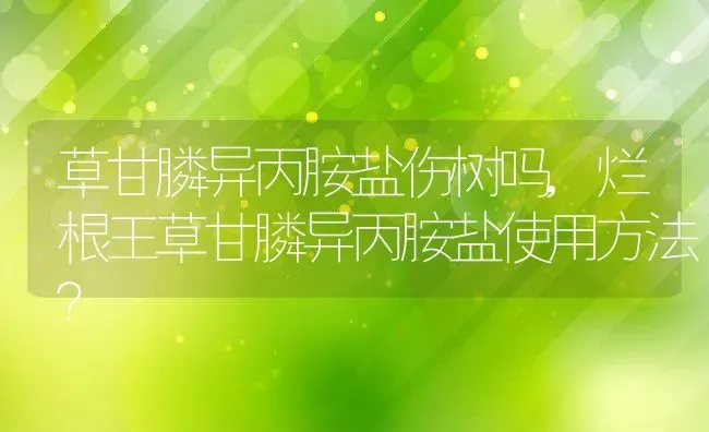 草甘膦异丙胺盐伤树吗,烂根王草甘膦异丙胺盐使用方法？ | 养殖科普