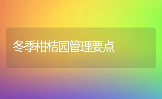冬季柑桔园管理要点 | 养殖技术大全