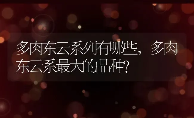 多肉东云系列有哪些,多肉东云系最大的品种？ | 养殖科普