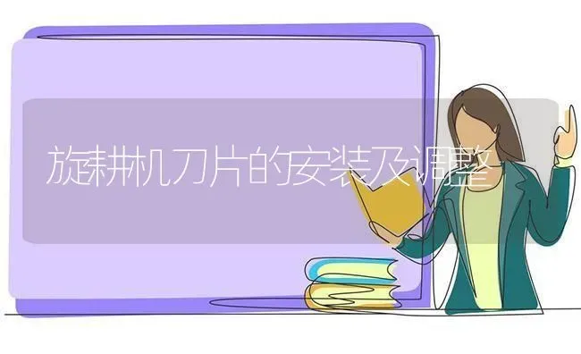 旋耕机刀片的安装及调整 | 养殖技术大全