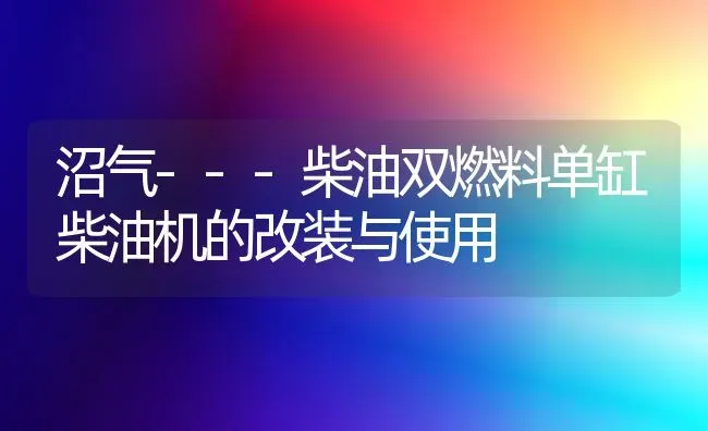 沼气---柴油双燃料单缸柴油机的改装与使用 | 养殖技术大全