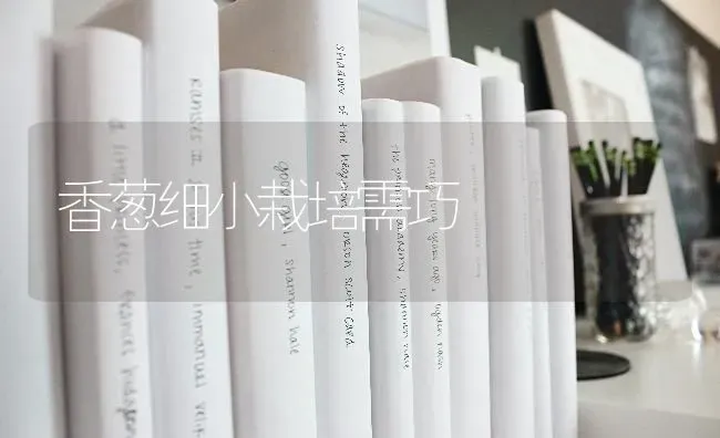 香葱细小栽培需巧 | 养殖技术大全