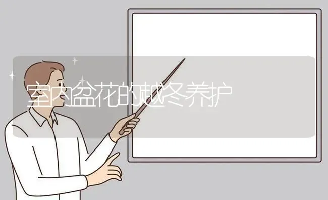 室内盆花的越冬养护 | 养殖技术大全
