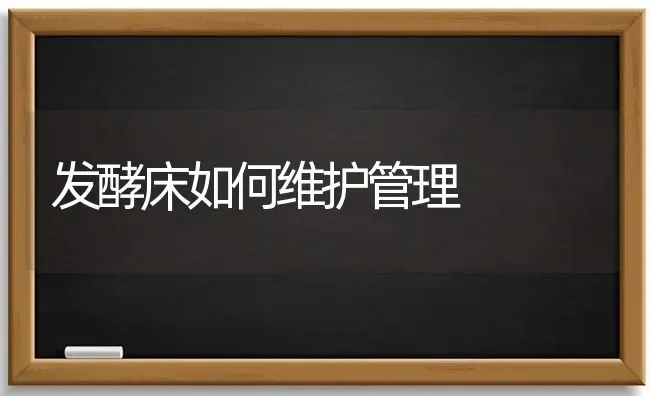 发酵床如何维护管理 | 养殖技术大全