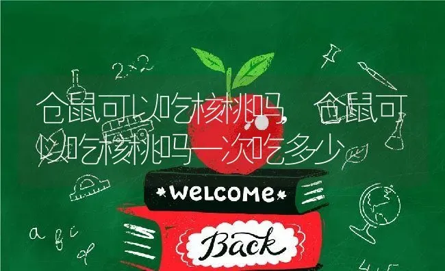 仓鼠可以吃核桃吗,仓鼠可以吃核桃吗一次吃多少 | 养殖科普
