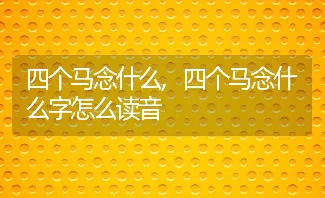 四个马念什么,四个马念什么字怎么读音 | 养殖科普
