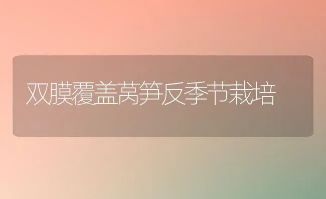 双膜覆盖莴笋反季节栽培 | 养殖知识