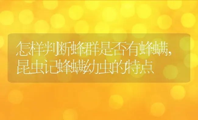 怎样判断蜂群是否有蜂螨,昆虫记蜂螨幼虫的特点 | 养殖学堂