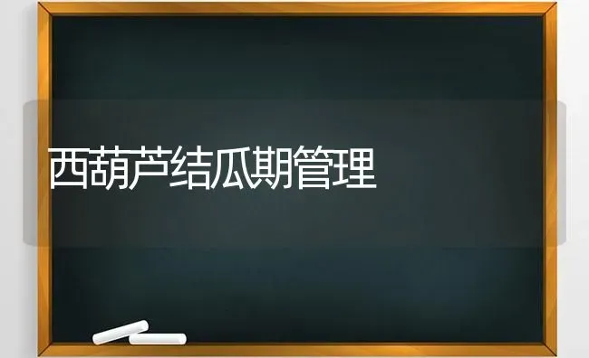 西葫芦结瓜期管理 | 养殖技术大全