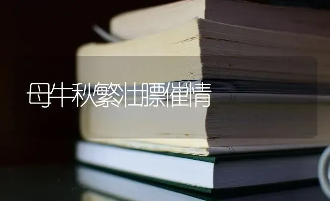 母牛秋繁壮膘催情 | 养殖技术大全